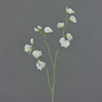 Artificial flower lathyrus ASFALOTH, white, 26"/65cm