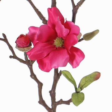 Artificial magnolia MARGA, fuchsia, 31"/80cm, Ø2.8"-3.1"/7-8cm Artificial magnolia MARGA, fuchsia, 31"/80cm, Ø2.8"-3.1"/7-8cm