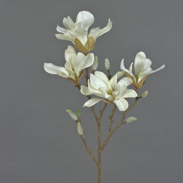 Artificial star magnolia AZULA, cream, 24"/60cm, Ø2.8"-3.5"/7-9cm
