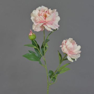 Fake peony ONYX, cream-light pink, 28"/70cm, Ø4"-5.1"/10-13cm Fake peony ONYX, cream-light pink, 28"/70cm, Ø4"-5.1"/10-13cm