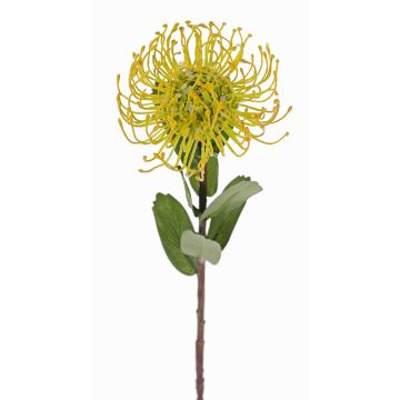 Artificial protea BAILY, yellow-green, 22"/55cm, Ø3.9"/10cm Artificial protea BAILY, yellow-green, 22"/55cm, Ø3.9"/10cm