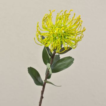 Artificial protea BAILY, yellow, 20"/50cm, Ø4.7"/12cm