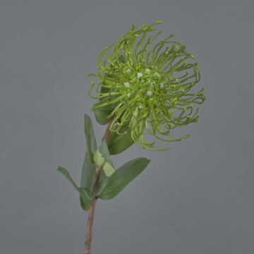 Artificial protea BAILY, green, 20"/50cm, Ø4.7"/12cm