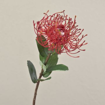 Artificial protea BAILY, red, 20"/50cm, Ø4.7"/12cm