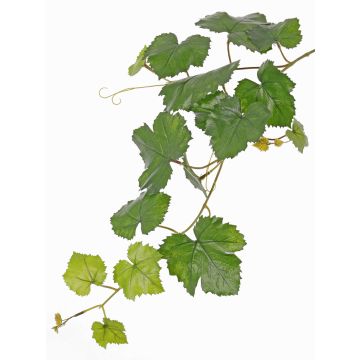 Artificial grapevine spray BJON, crossdoor, green, 24"/60cm Artificial grapevine spray BJON, crossdoor, green, 24"/60cm