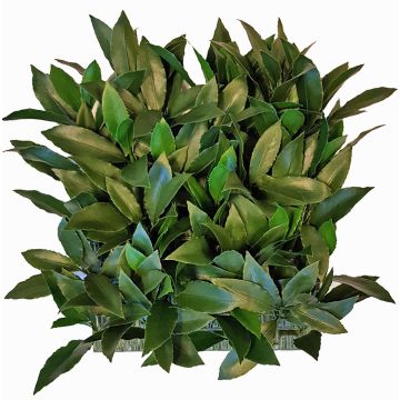 Artificial laurel hedge / mat FOXI, crossdoor, 10"x10"/25x25cm Artificial laurel hedge / mat FOXI, crossdoor, 10"x10"/25x25cm