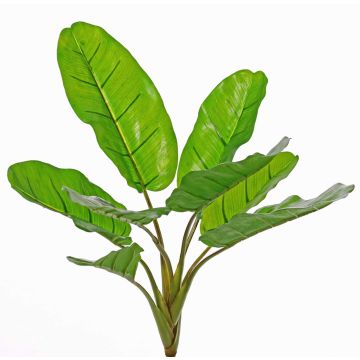 Artificial banana plant LITTY on spike, crossdoor, 22"/55cm Artificial banana plant LITTY on spike, crossdoor, 22"/55cm