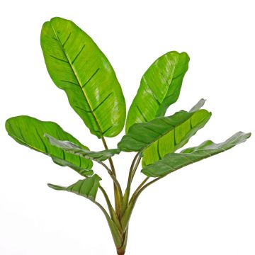 Artificial banana plant LITTY on spike, crossdoor, 22"/55cm