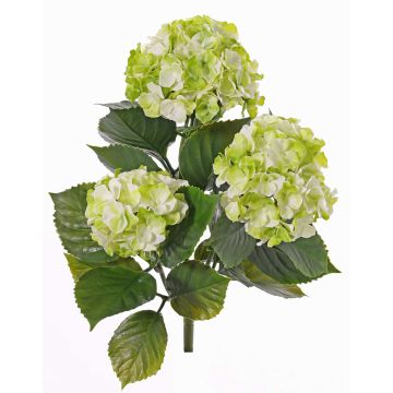 Artificial hydrangea SAIRA, spike, crossdoor, green-cream, 16"/40cm, Ø4.3"-5.1"/11-13cm Artificial hydrangea SAIRA, spike, crossdoor, green-cream, 16"/40cm, Ø4.3"-5.1"/11-13cm
