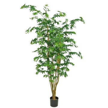 Artificial Japanese maple tree MANNY, real trunks, green, 6ft/180cm Artificial Japanese maple tree MANNY, real trunks, green, 6ft/180cm