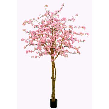Artificial Japanese cherry blossom tree TIFFY, real stems, flowers, pink, 8ft/240cm