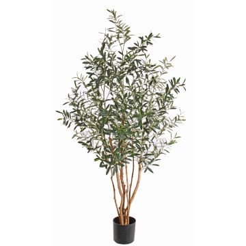 Artificial olive tree ROY, real trunks, crossdoor, 5ft/165cm Artificial olive tree ROY, real trunks, crossdoor, 5ft/165cm
