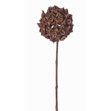 Artificial star anise branch CATBERT, brown, 28"/70cm, Ø3.9"/10cm