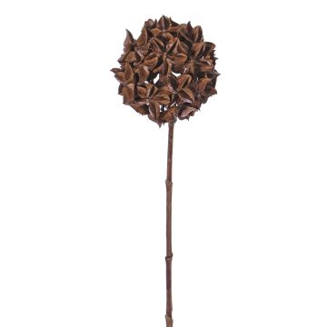 Artificial star anise branch CATBERT, brown, 28"/70 cm, Ø 4"/10 cm
