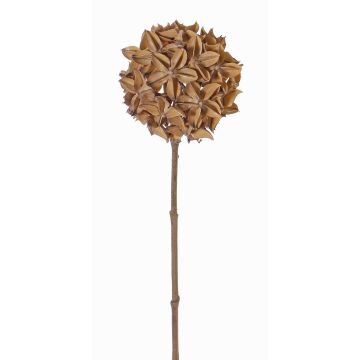 Artificial star anise branch CATBERT, light brown, 28"/70cm, Ø3.9"/10cm