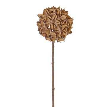 Artificial star anise branch CATBERT, light brown, 28"/70 cm, Ø 4"/10 cm