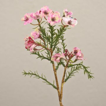 Artificial wax flower AISHA, light pink, 10"/25cm