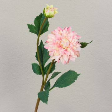 Fake dahlia PATRITZIA, light pink-pink, 22"/55cm