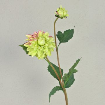Fake dahlia PATRITZIA, green-light pink, 22"/55cm