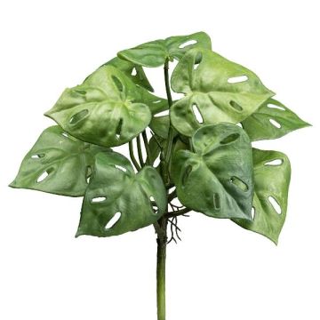 Artificial plant Philodendron Monstera Adansonii SHIBE, spike, 11"/29cm Artificial plant Philodendron Monstera Adansonii SHIBE, spike, 11"/29cm