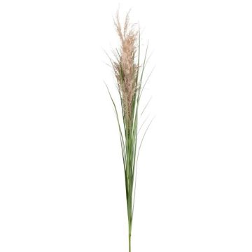 Decorative reed branch FROGIL with panicles, green-beige, 4ft/135cm