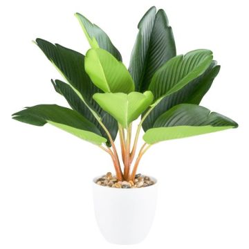 Artificial Strelitzia PLIMBER, melamine planter, green, 35cm