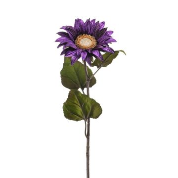Velvet sunflower MAHEALANI, dark purple-gold, 30"/75cm Velvet sunflower MAHEALANI, dark purple-gold, 30"/75cm