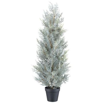 Decorative tree Cypress CALOT in decorative pot, grey, 31"/80cm Decorative tree Cypress CALOT in decorative pot, grey, 31"/80cm