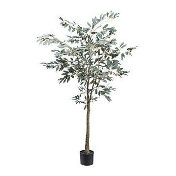 Decorative tree Olive tree MAUME, artificial stem, fruit, 5ft/150cm Decorative tree Olive tree MAUME, artificial stem, fruit, 5ft/150cm