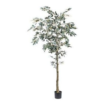 Decorative tree Olive tree MAUME, artificial stem, fruit, 7ft/210cm Decorative tree Olive tree MAUME, artificial stem, fruit, 7ft/210cm