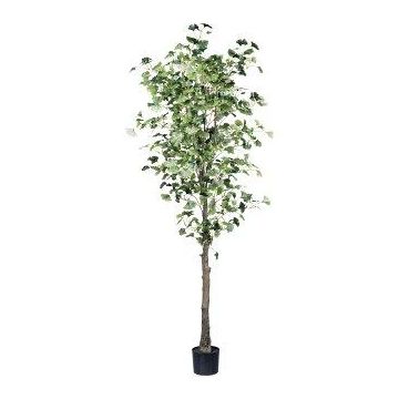 Artificial tree Ginkgo MERLIM with artificial stem, 7ft/210cm Artificial tree Ginkgo MERLIM with artificial stem, 7ft/210cm