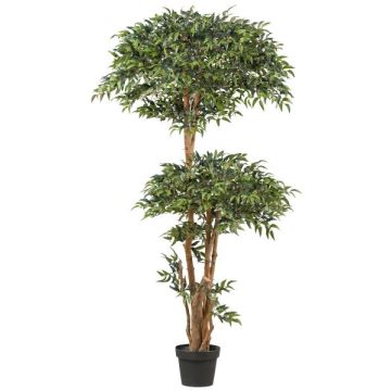 Artificial tree Ruscus NEOSHO in decorative pot, natural stems, 6ft/170cm Artificial tree Ruscus NEOSHO in decorative pot, natural stems, 6ft/170cm