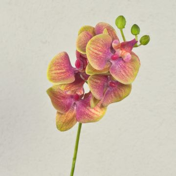 Artificial Phalaenopsis orchid spray OPHELIA, pink-green, 16"/40cm