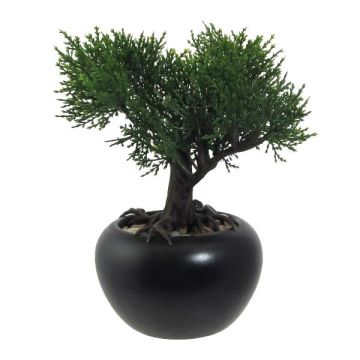 Artificial tree Cedar bonsai tree FALKE with roots, ceramic pot, 8"/19cm Artificial tree Cedar bonsai tree FALKE with roots, ceramic pot, 8"/19cm