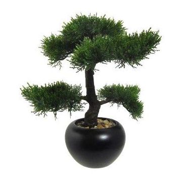 Artificial tree Cedar bonsai tree FALKE, ceramic pot, 14"/35cm Artificial tree Cedar bonsai tree FALKE, ceramic pot, 14"/35cm
