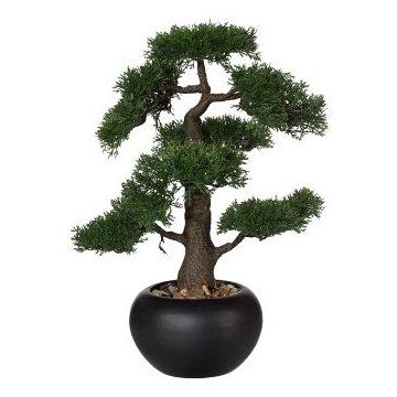 Artificial tree Cedar bonsai tree FALKE, ceramic pot, 20"/50cm Artificial tree Cedar bonsai tree FALKE, ceramic pot, 20"/50cm