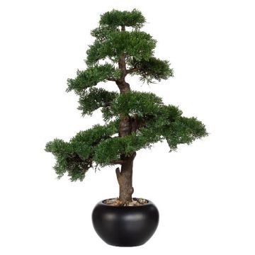 Artificial tree Cedar bonsai tree FALKE with roots, ceramic pot, 28"/70cm Artificial tree Cedar bonsai tree FALKE with roots, ceramic pot, 28"/70cm