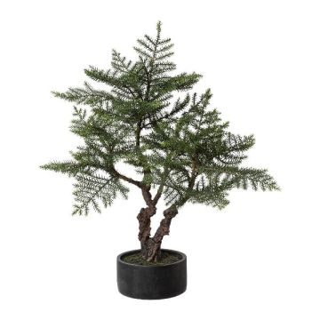 Artificial tree Araucaria bonsai LONSA in decorative pot, 3ft/100cm Artificial tree Araucaria bonsai LONSA in decorative pot, 3ft/100cm