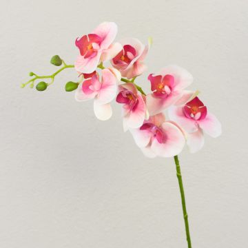 Artificial Phalaenopsis orchid spray OPHELIA, light pink-pink, 31"/80cm