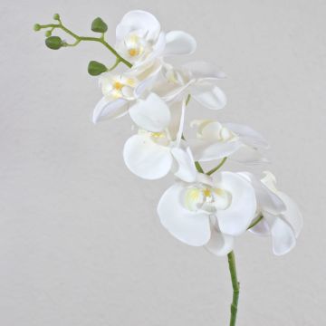 Artificial Phalaenopsis orchid spray OPHELIA, white, 31"/80cm