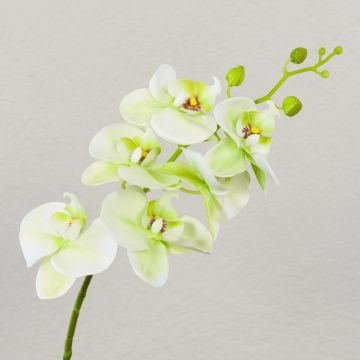 Artificial Phalaenopsis orchid spray OPHELIA, green-pink, 31"/80cm