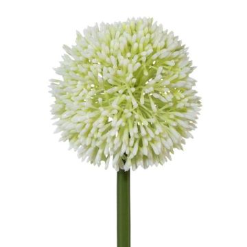Decorative flower Allium MENKES, white, 26"/65cm