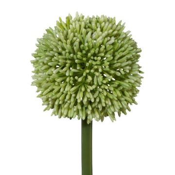 Decorative flower Allium MENKES, green, 26"/65cm