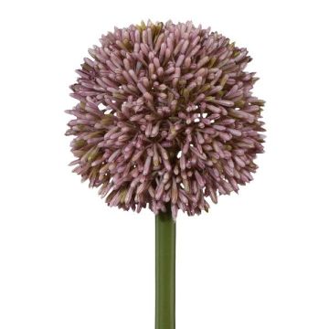 Decorative flower Allium MENKES, lilac, 26"/65cm