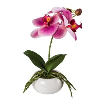 Plastic flower Phalaenopsis orchid KASDA, ceramic bowl, roots, fuchsia, 11"/27cm Plastic flower Phalaenopsis orchid KASDA, ceramic bowl, roots, fuchsia, 11"/27cm