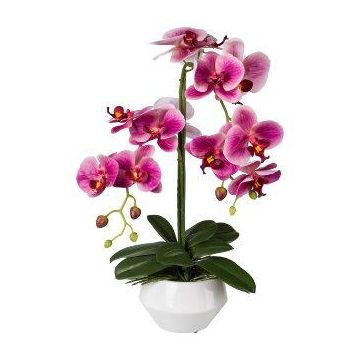 Plastic flower Phalaenopsis orchid KASDA, ceramic pot, roots, fuchsia, 20"/50cm