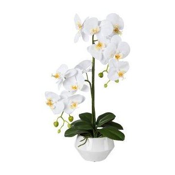 Plastic flower Phalaenopsis orchid KASDA, ceramic pot, roots, white, 20"/50cm