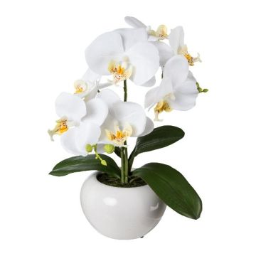 Plastic flower Phalaenopsis orchid KASDA, ceramic pot, white, 14"/35cm