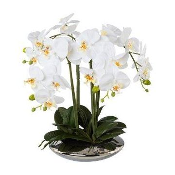 Artificial Phalaenopsis orchid MANULO, silvery ceramic bowl, roots, white, 16"/40cm