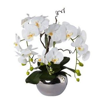 Artificial arrangement of orchid and corkscrew willow LULUDI, silver ceramic pot, roots, white, 22"/55cm